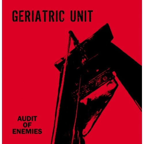 Geriatric Unit – Audit of enemies